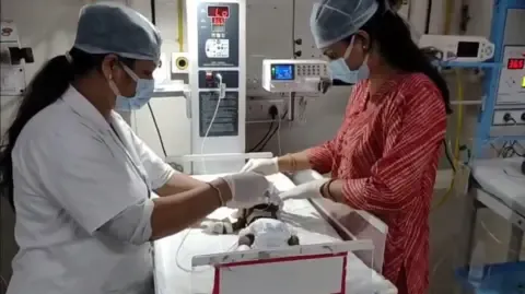 Newborn Interred Living in India Fights for Her Life